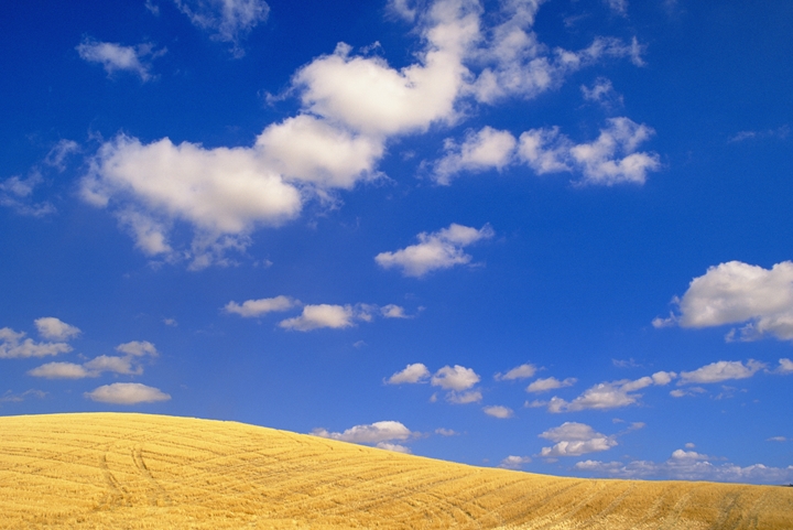 シンエイコーポレーションHP